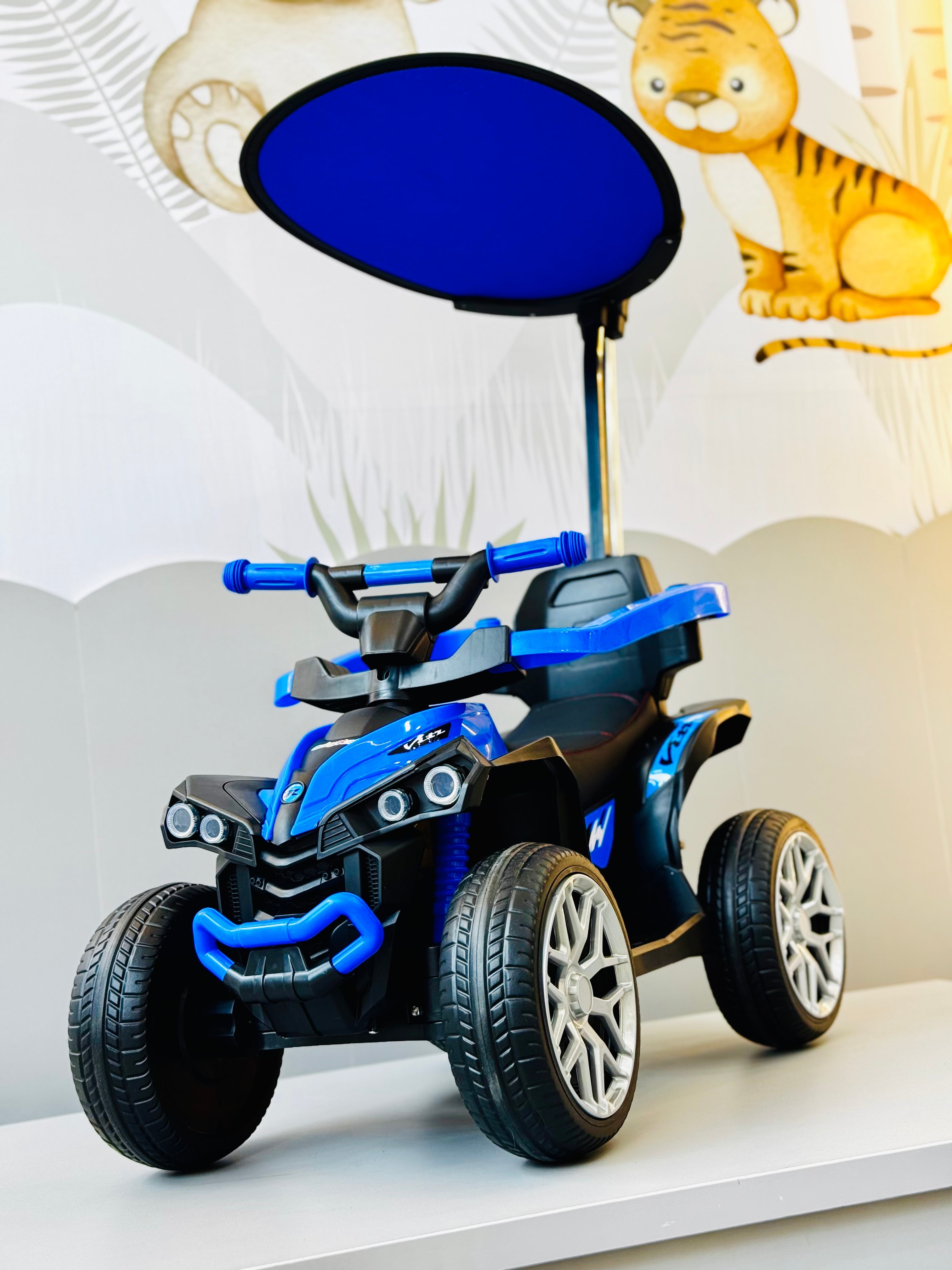 Triciclos y Paseadores