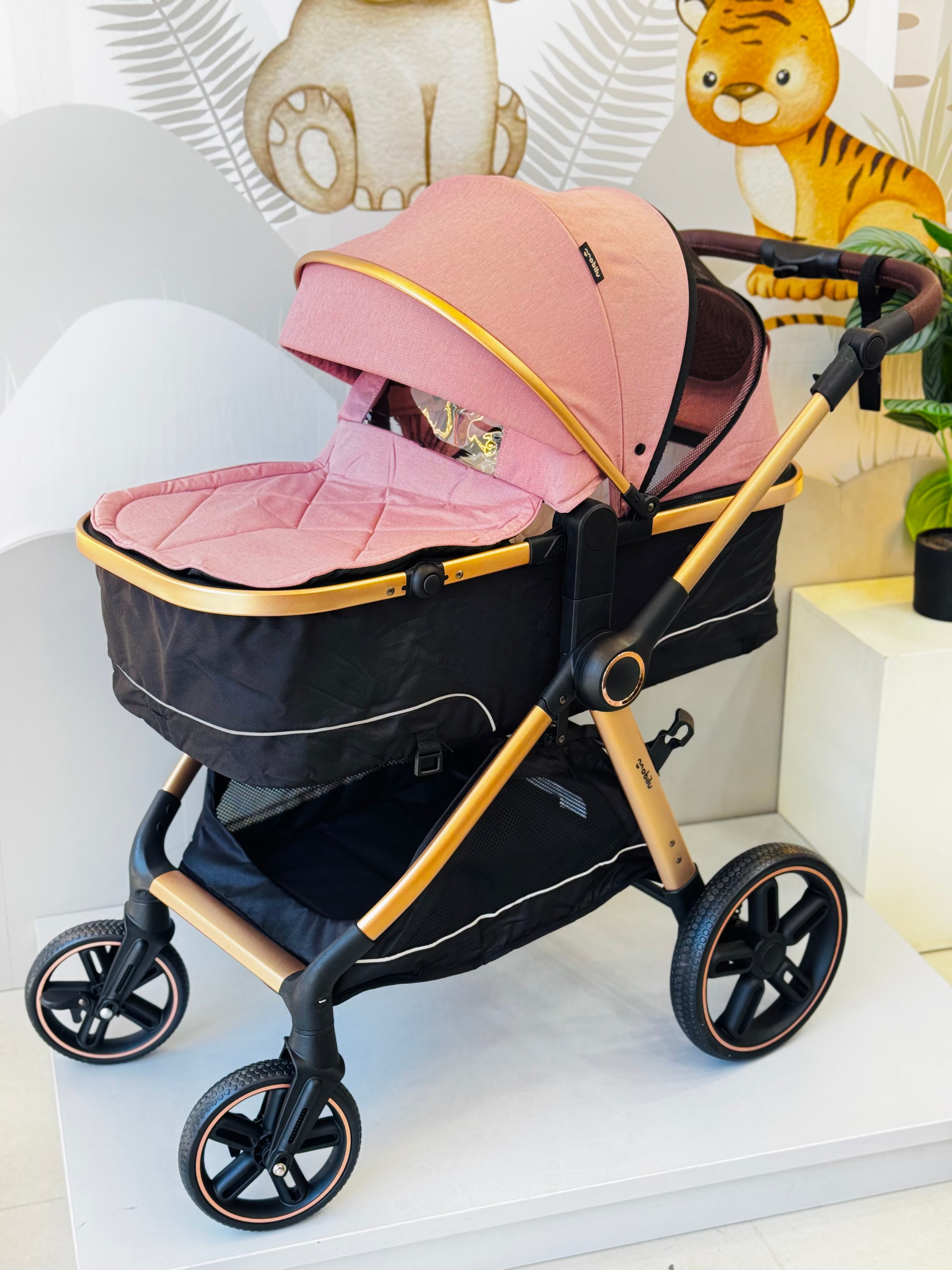 COCHE MOISES REF TURIN