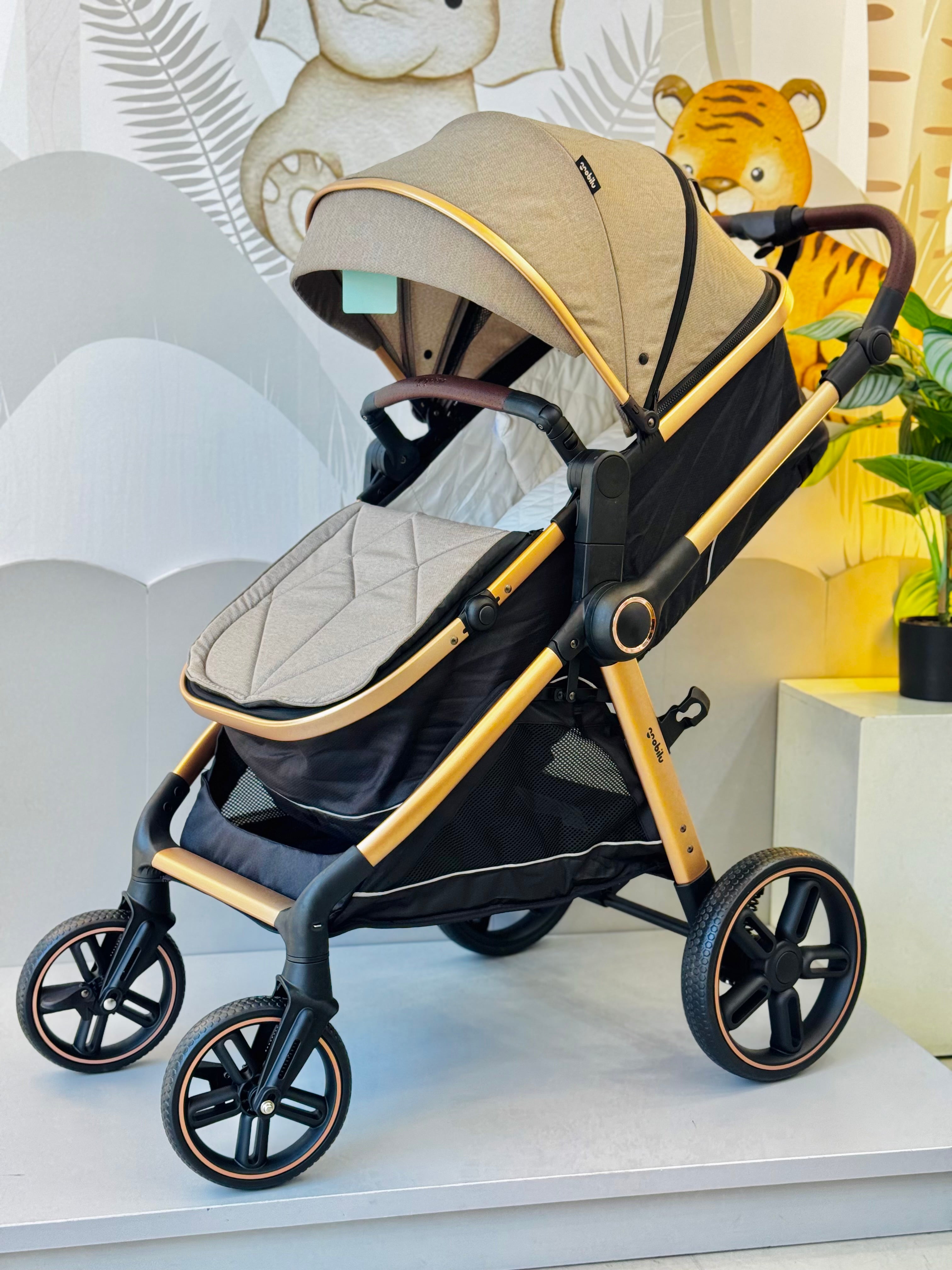 COCHE MOISES REF TURIN