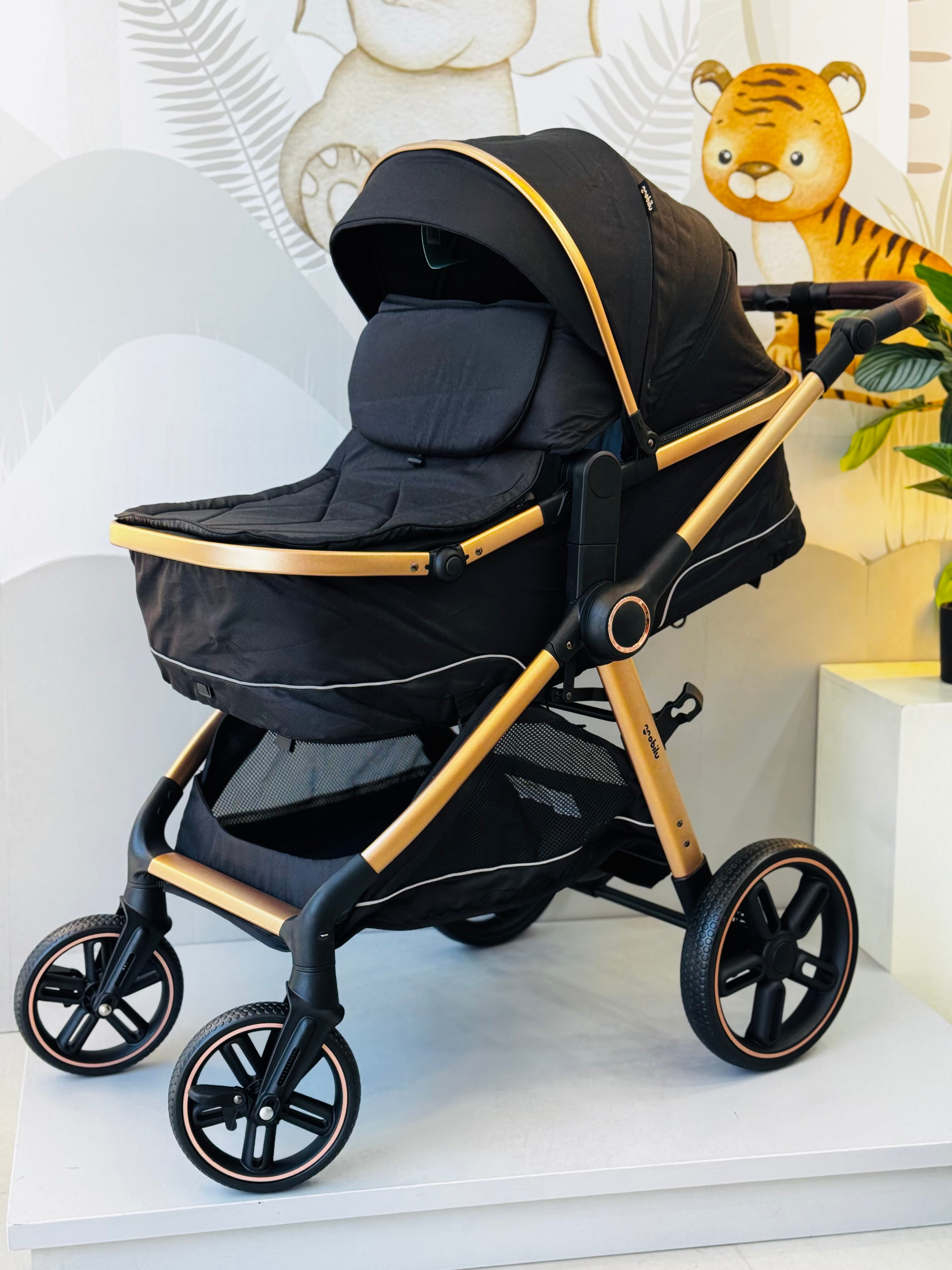 COCHE MOISES REF TURIN