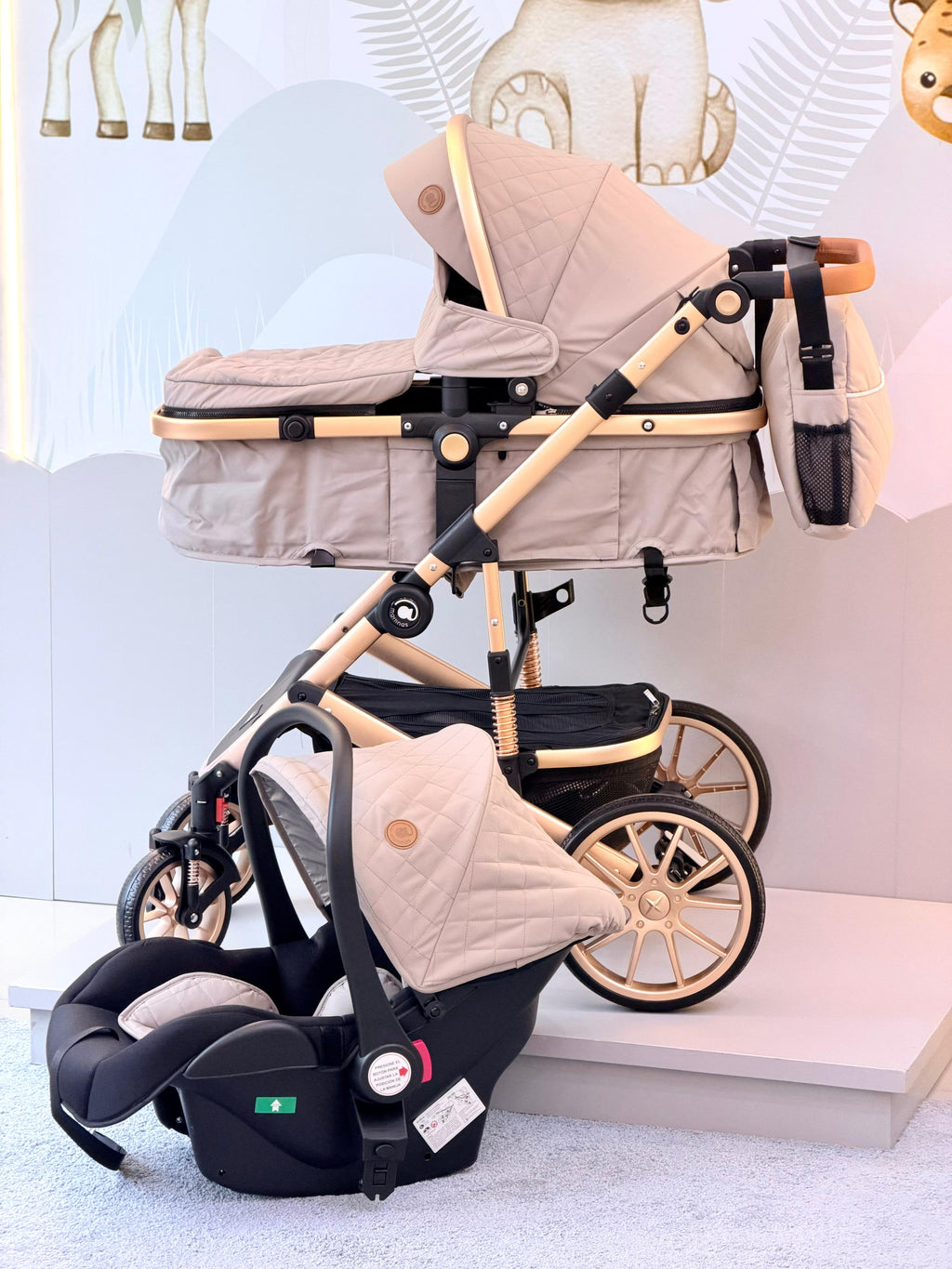COMBO COCHE MOISES